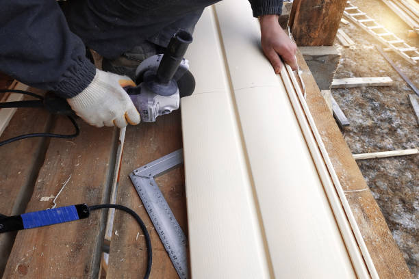 Best Composite Siding  in Paisley, FL