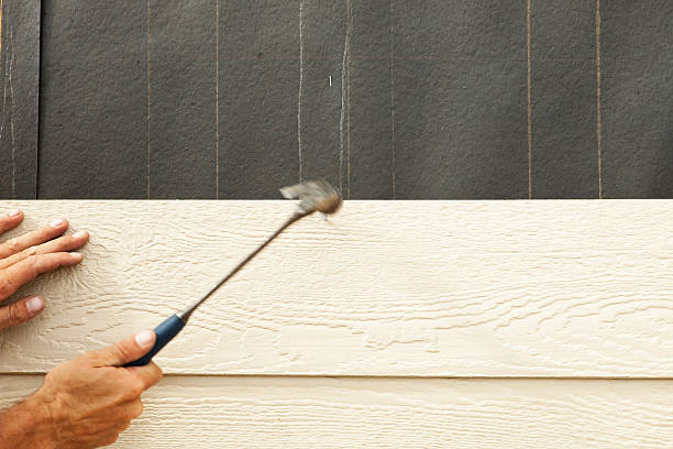 Best Engineered Wood Siding  in Paisley, FL